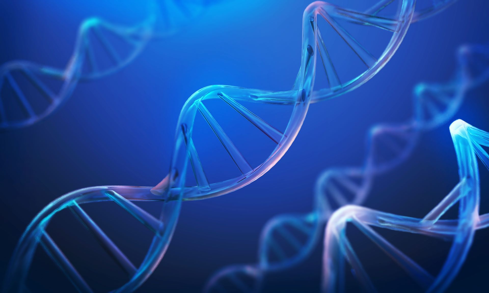 你有权使用基于 CRISPR 的工具吗 - 与 Genoway、Merck 和 Questel 的联合视频