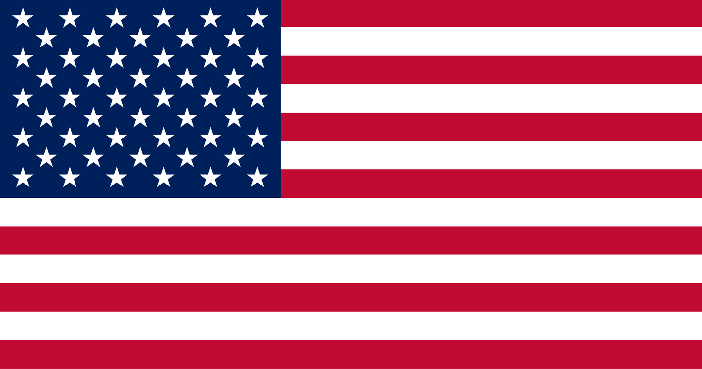 Trademark evidence of use requirements, US flag