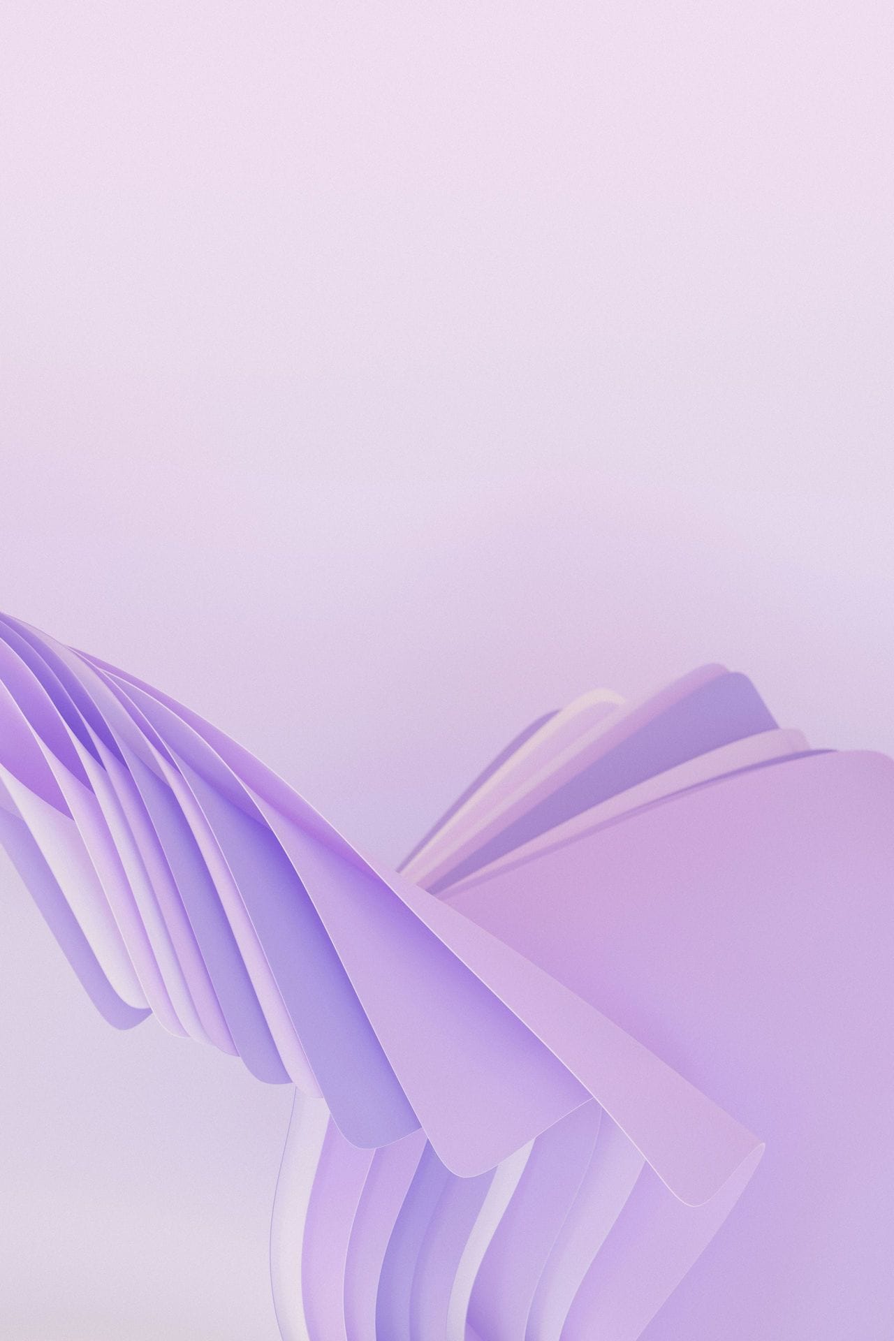IP training, purple pattern