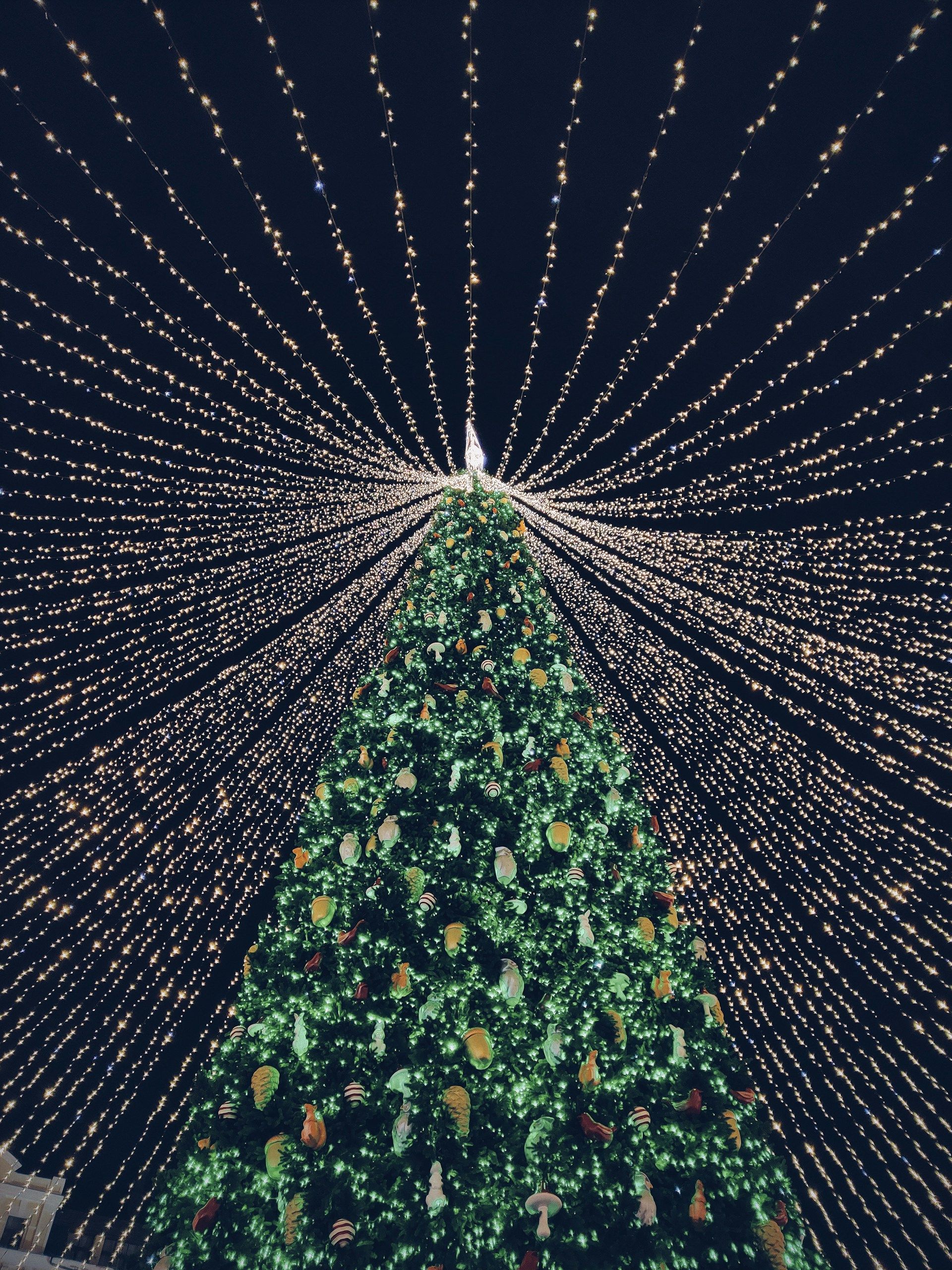 Brand infringement at Christmas, snow on lights