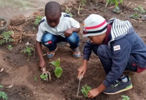 Éducation à l'environnement pour les enfants haïtiens