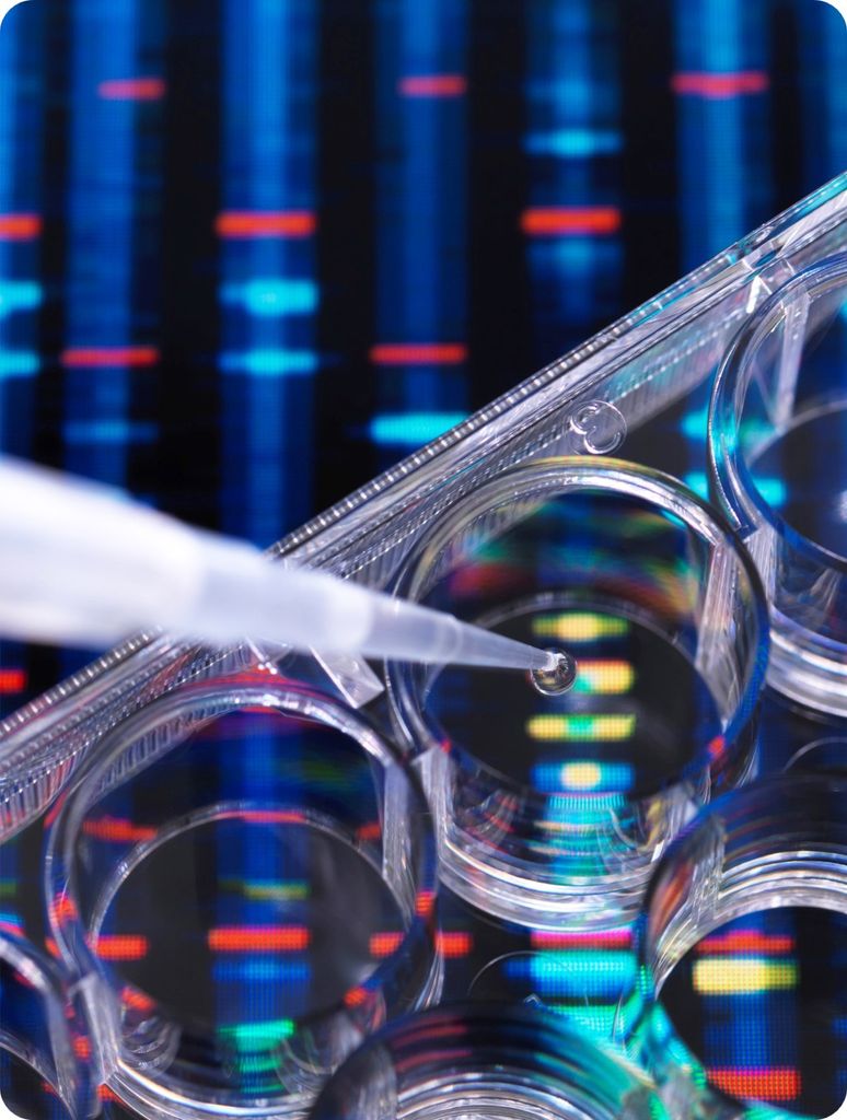 Markify: 'One tool for all' – Discover our use cases across Pharma, Veterinary, Technical domains