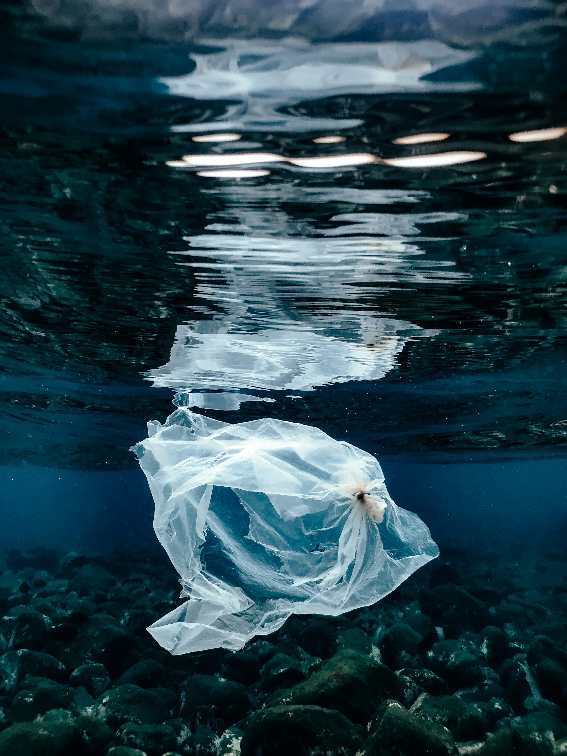 The patent race for biodegradable plastics, image of plastic pollutionc