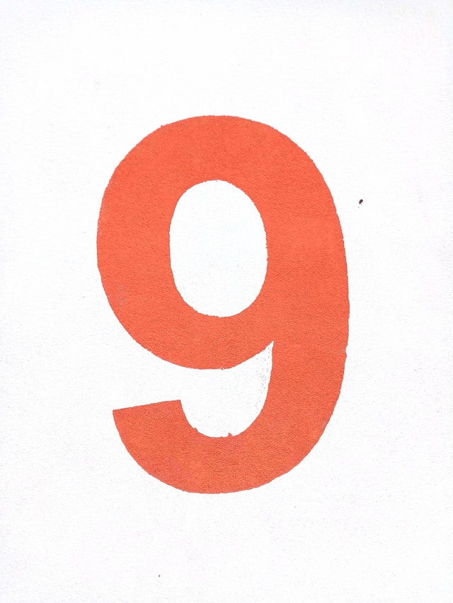 Step 9: Continuous Improvement