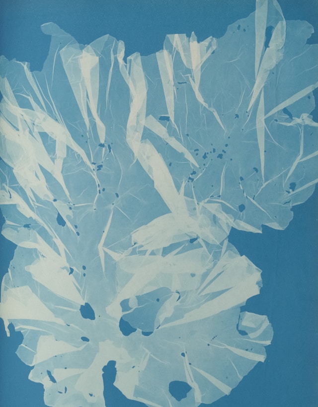 Proof of use for trademark rights, image of fragile blue flower