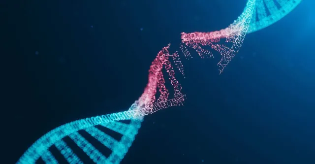 Antibody Search Page
