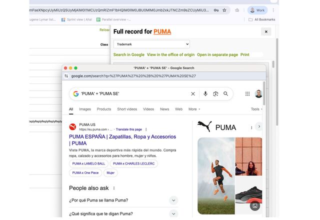 New quick link to google search in TM records