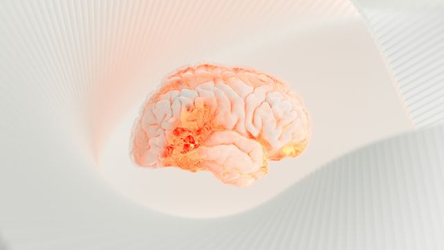 상표 전문가를 위한 AI 어시스턴트: 찾다 부터 실질적인 결정까지 음성 강화