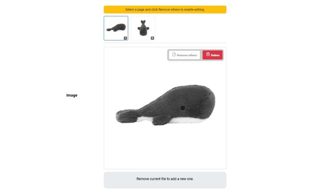 PDF upload for image searches